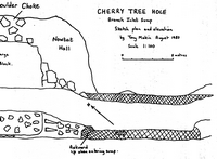 CDG NL58 Cherry Tree Hole - Branch Inlet Sump